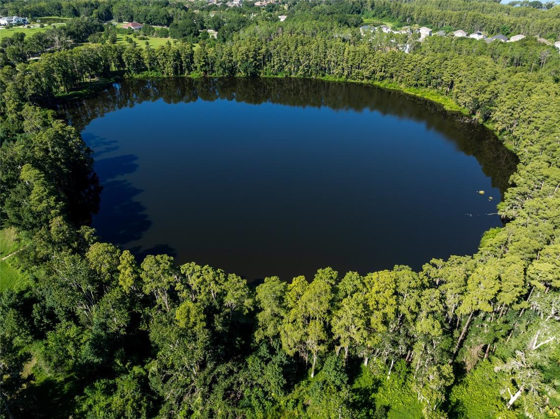 TBD Collier Pkwy., Land O Lakes, FL 34639