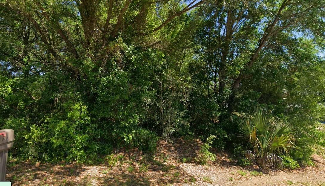 19801 Flamingo Dr., Dunnellon, FL 34431