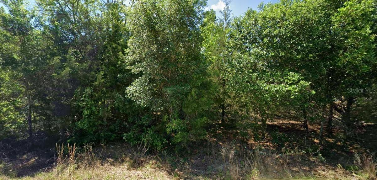 20120 Marine Blvd., Dunnellon, FL 34431