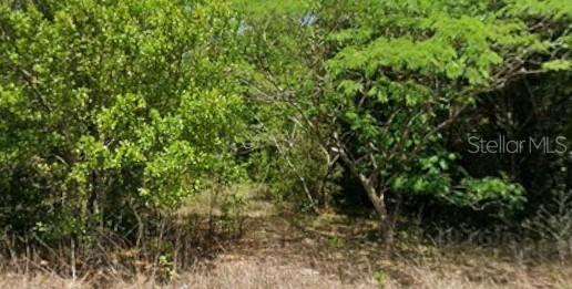19949 Rainbow Lakes Blvd., Dunnellon, FL 34431