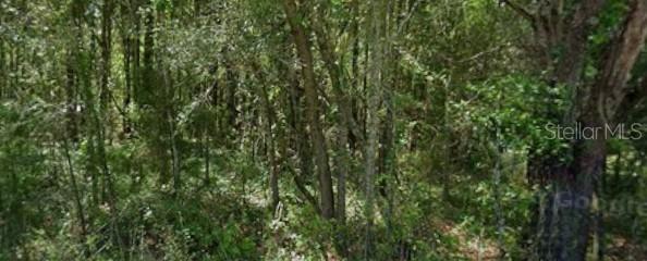20550 Marine Blvd., Dunnellon, FL 34431