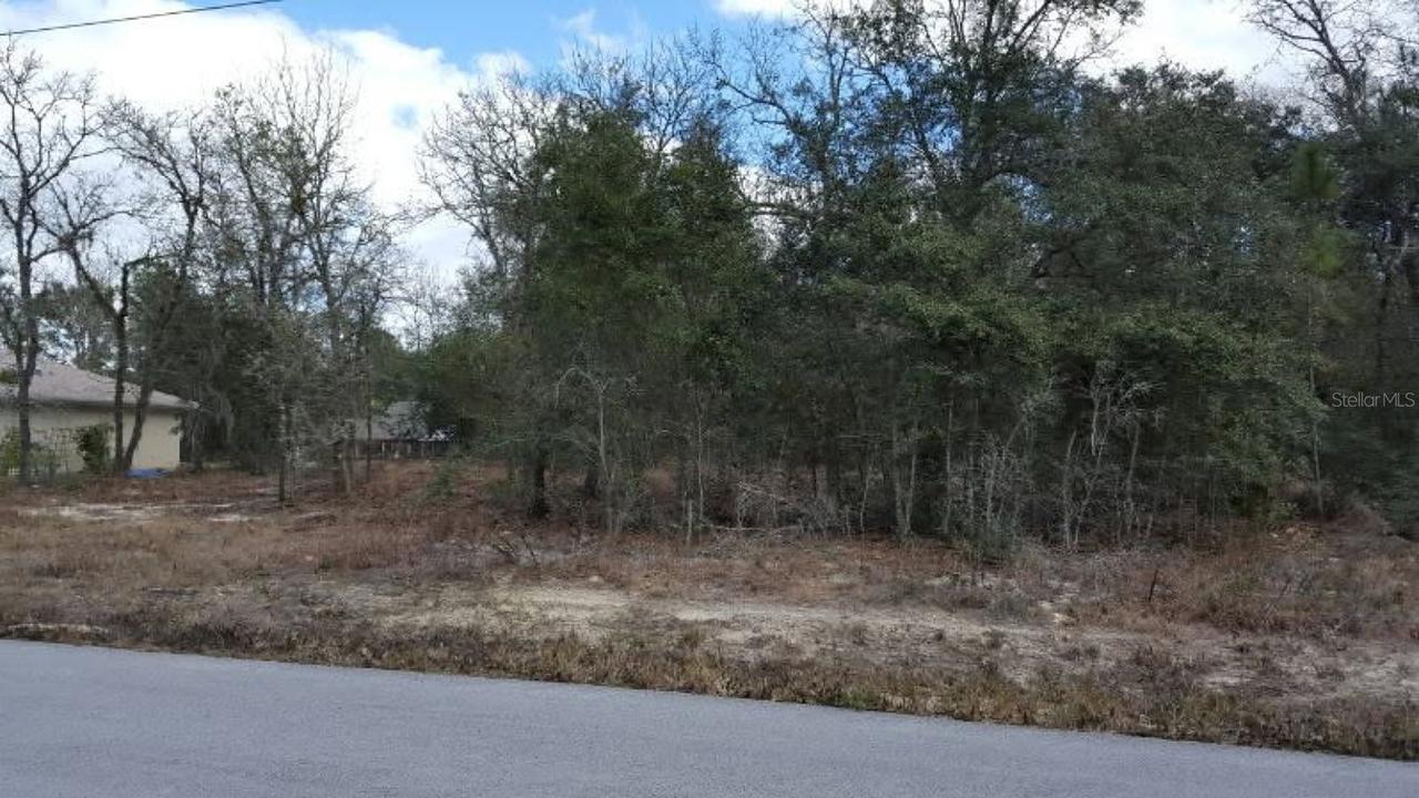 SE 88th Ct, Summerfield, FL 34491
