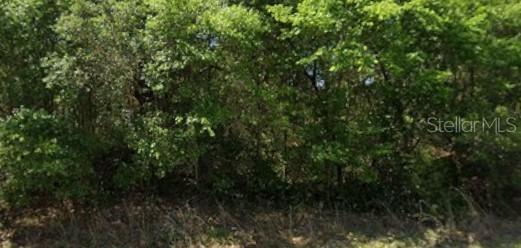 21540 Marine Blvd., Dunnellon, FL 34431