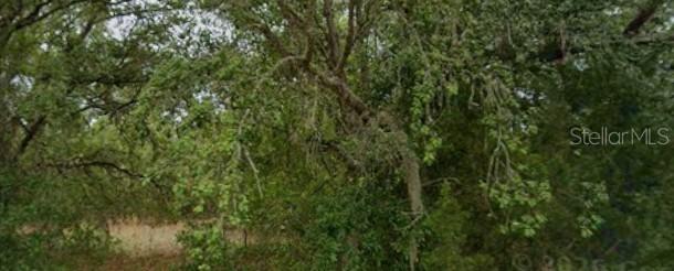 28860 Marine Blvd., Dunnellon, FL 34431