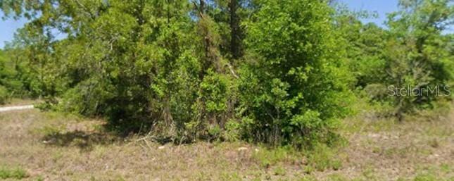 21943 Rainbow Lakes Blvd., Dunnellon, FL 34431