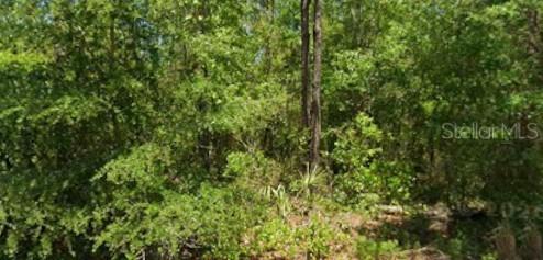 21425 Rainbow Lakes Blvd., Dunnellon, FL 34431