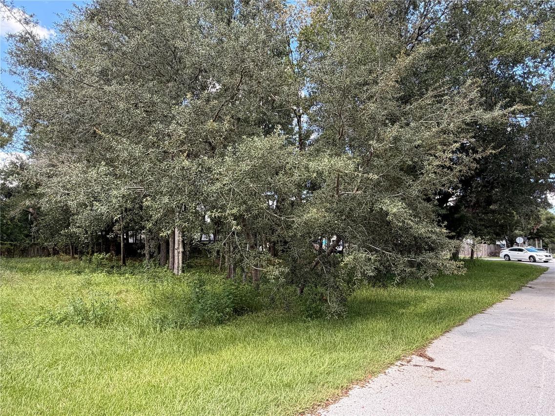 7457 W Turkeyneck Ct., Homosassa, FL 34448