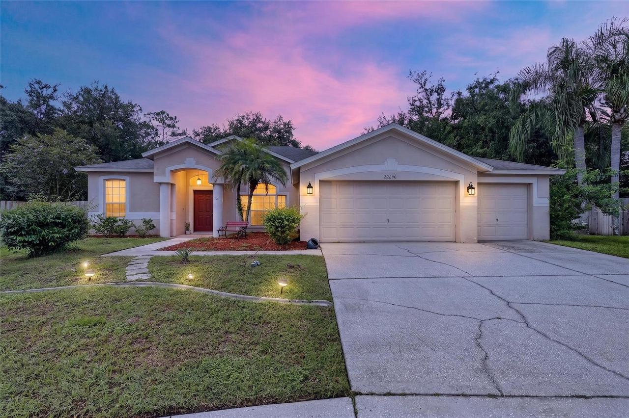 22240 Willow Lakes Dr., Lutz, FL 33549