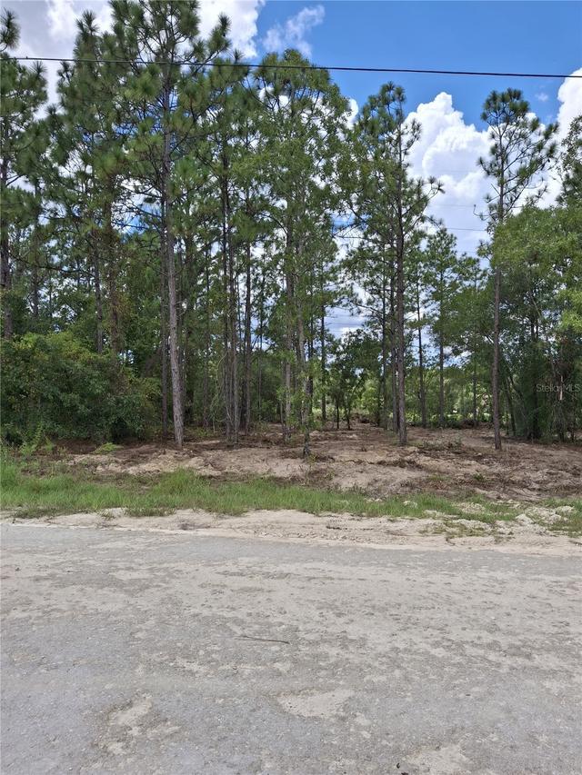 14167 Condor Rd., Weeki Wachee, FL 34614