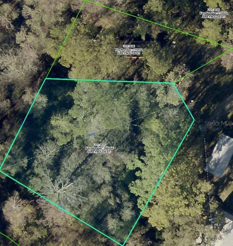 35436 Reynolds St., Dade City, FL 33523