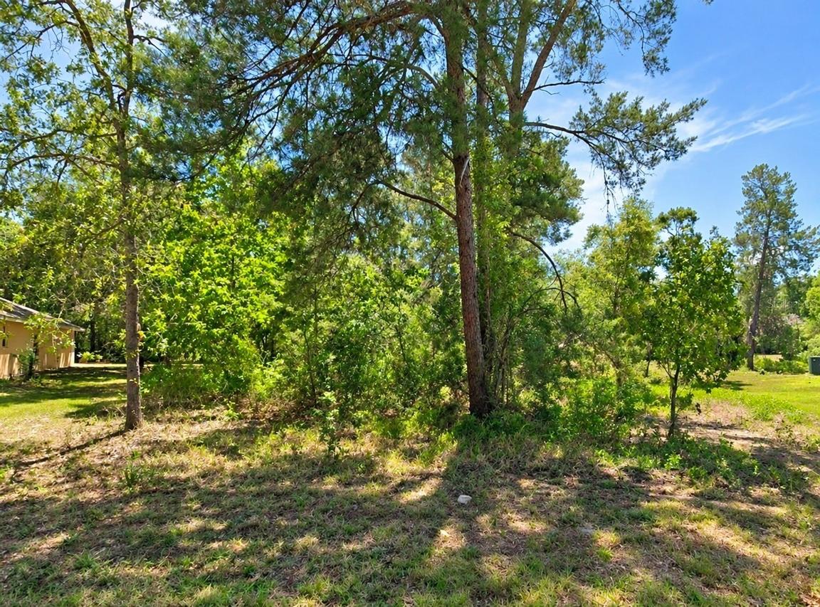 10 Dracaena Ct., Homosassa, FL 34446