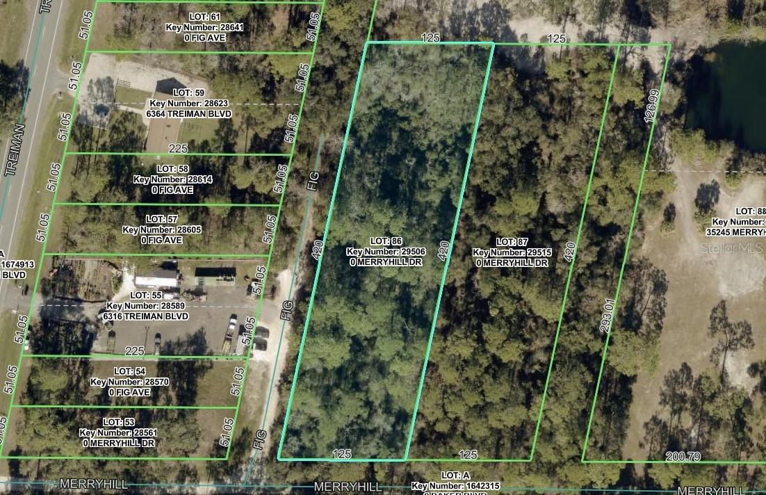 Merryhill Dr., Webster, FL 33597