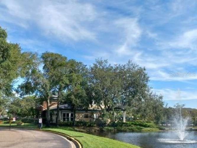 10024 Strafford Oak Ct. #807, Tampa, FL 33624