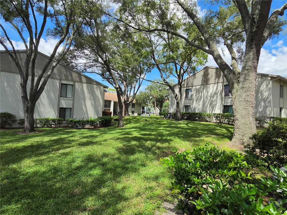 1700 Pine Ridge Way #C1, Palm Harbor, FL 34684