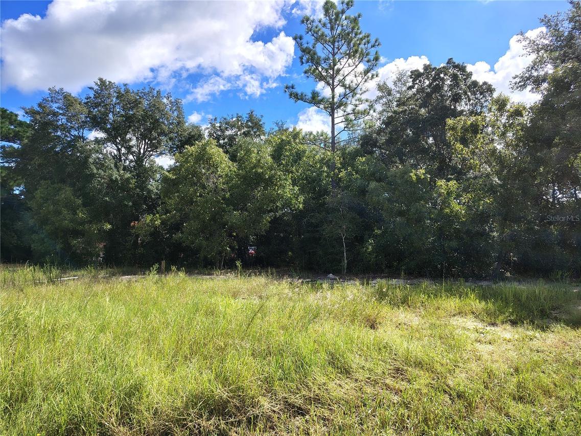 Silver Springs Shores Unit16, Ocala, FL 34472