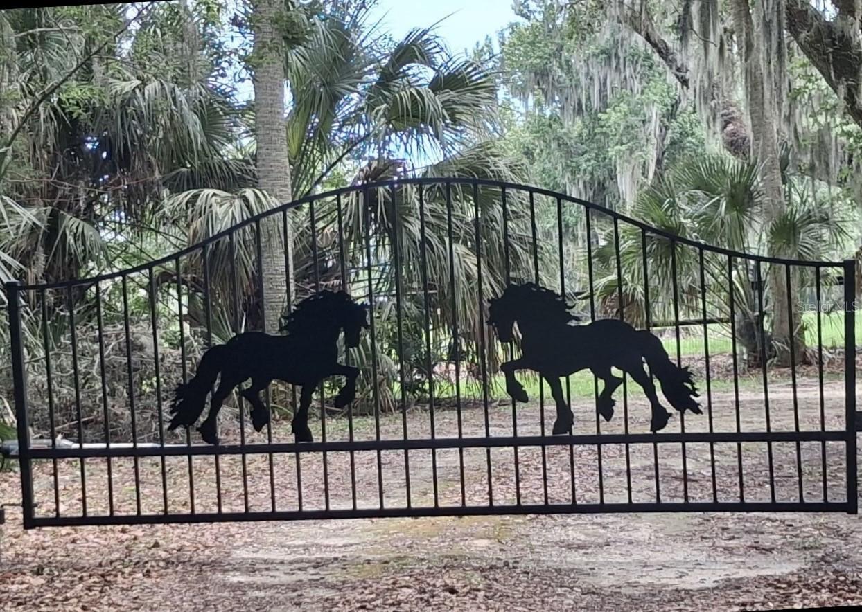 6800 NW Highway 320, Micanopy, FL 32667