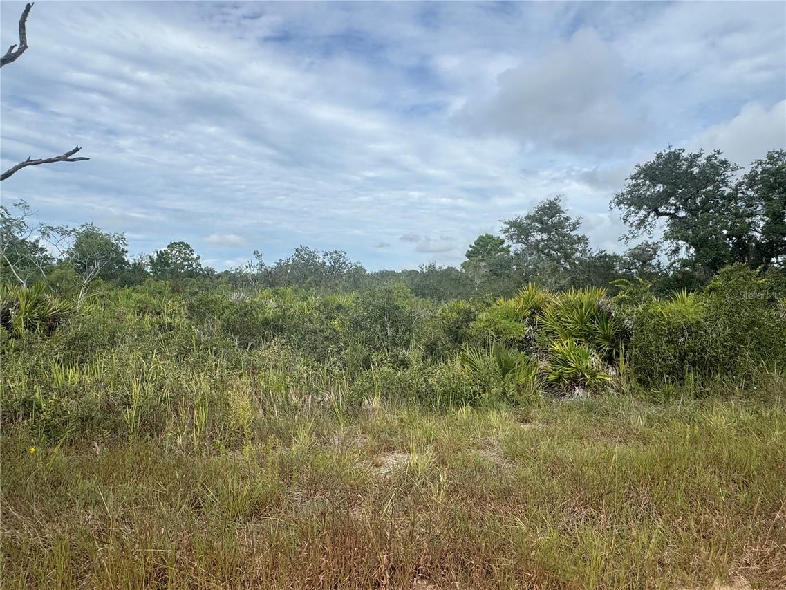 3022 W Petaluma Rd., Avon Park, FL 33825