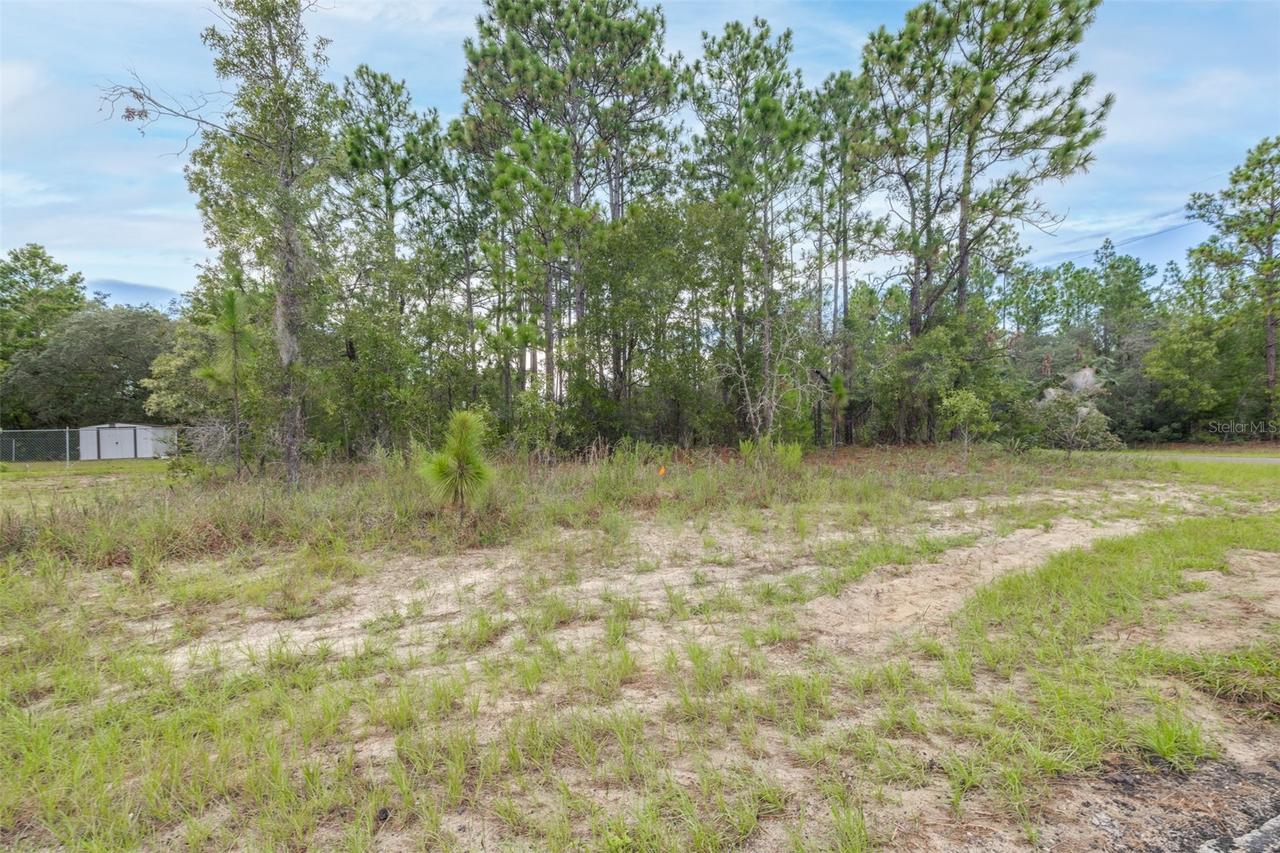7662 N Galt Point, Citrus Springs, FL 34434