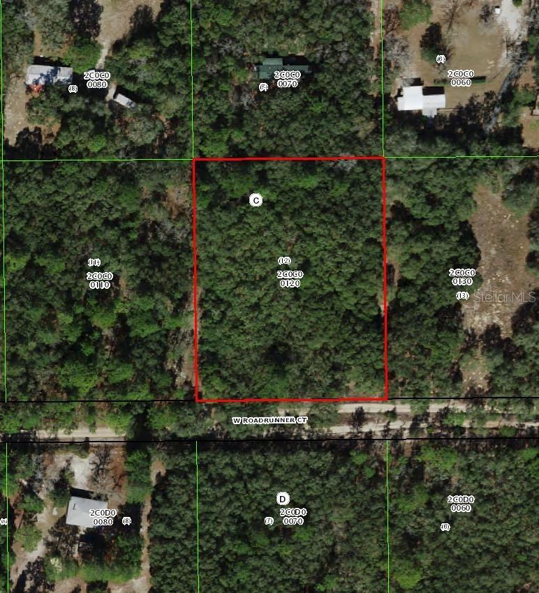 4385 W Roadrunner Ct., Homosassa, FL 34446