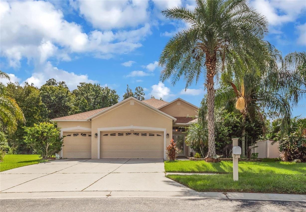 31230 Alchester Dr., Wesley Chapel, FL 33543