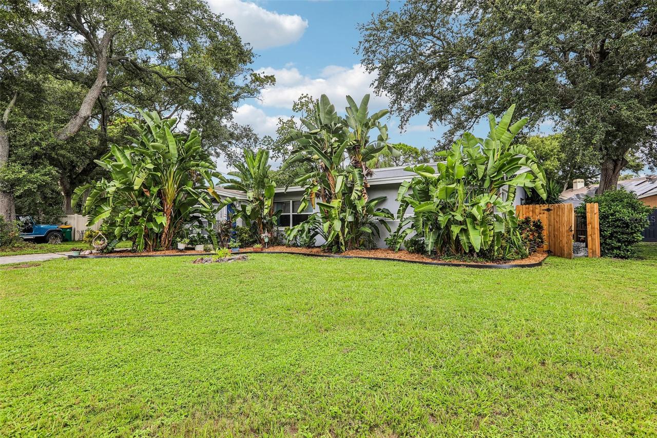 2358 Havana St., Clearwater, FL 33764