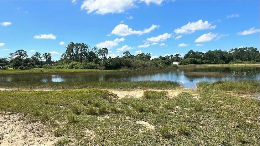 1026 Butler St E, Lehigh Acres, FL 33974