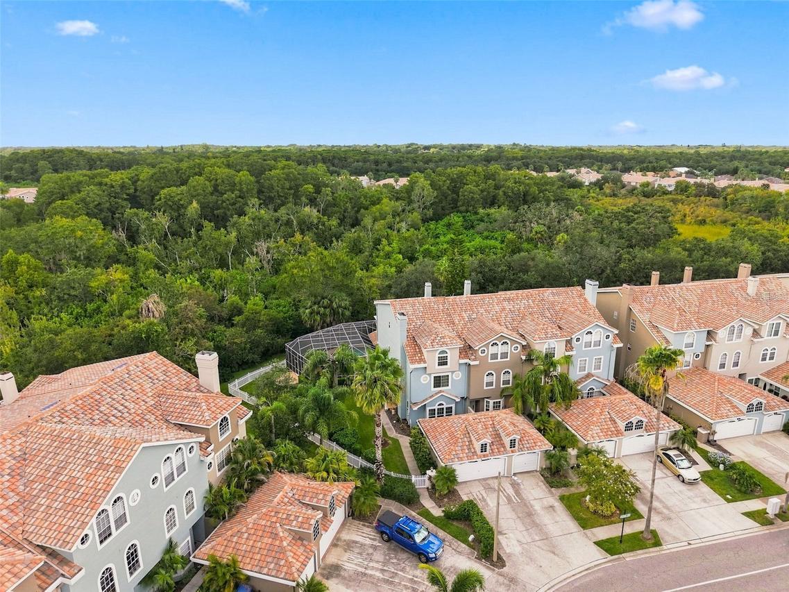 1650 Arabian Ln., Palm Harbor, FL 34685