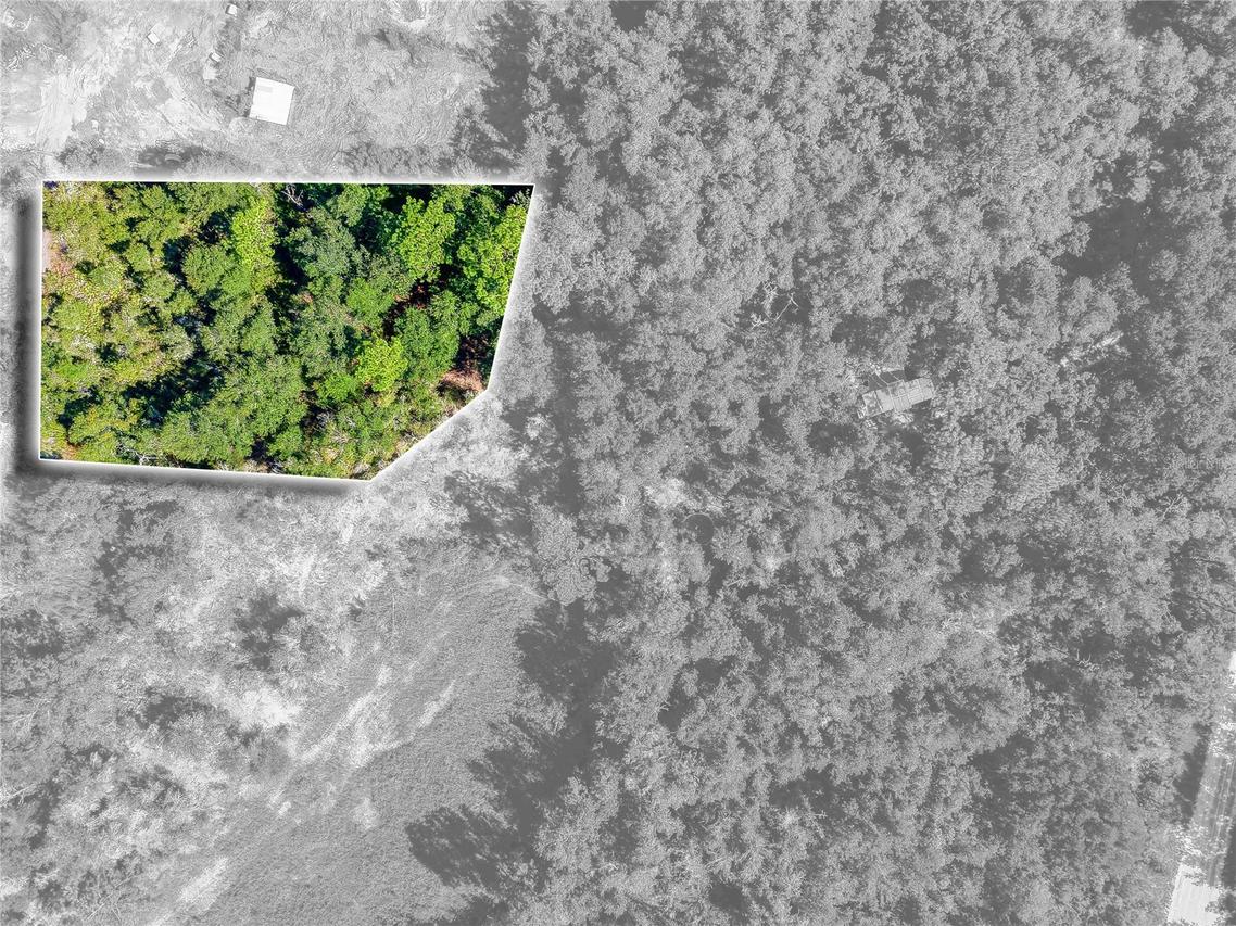 Sandstone St., Webster, FL 33597