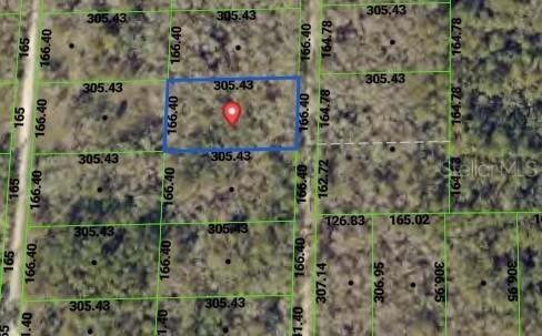 TBD Packingham Dr., Webster, FL 33597