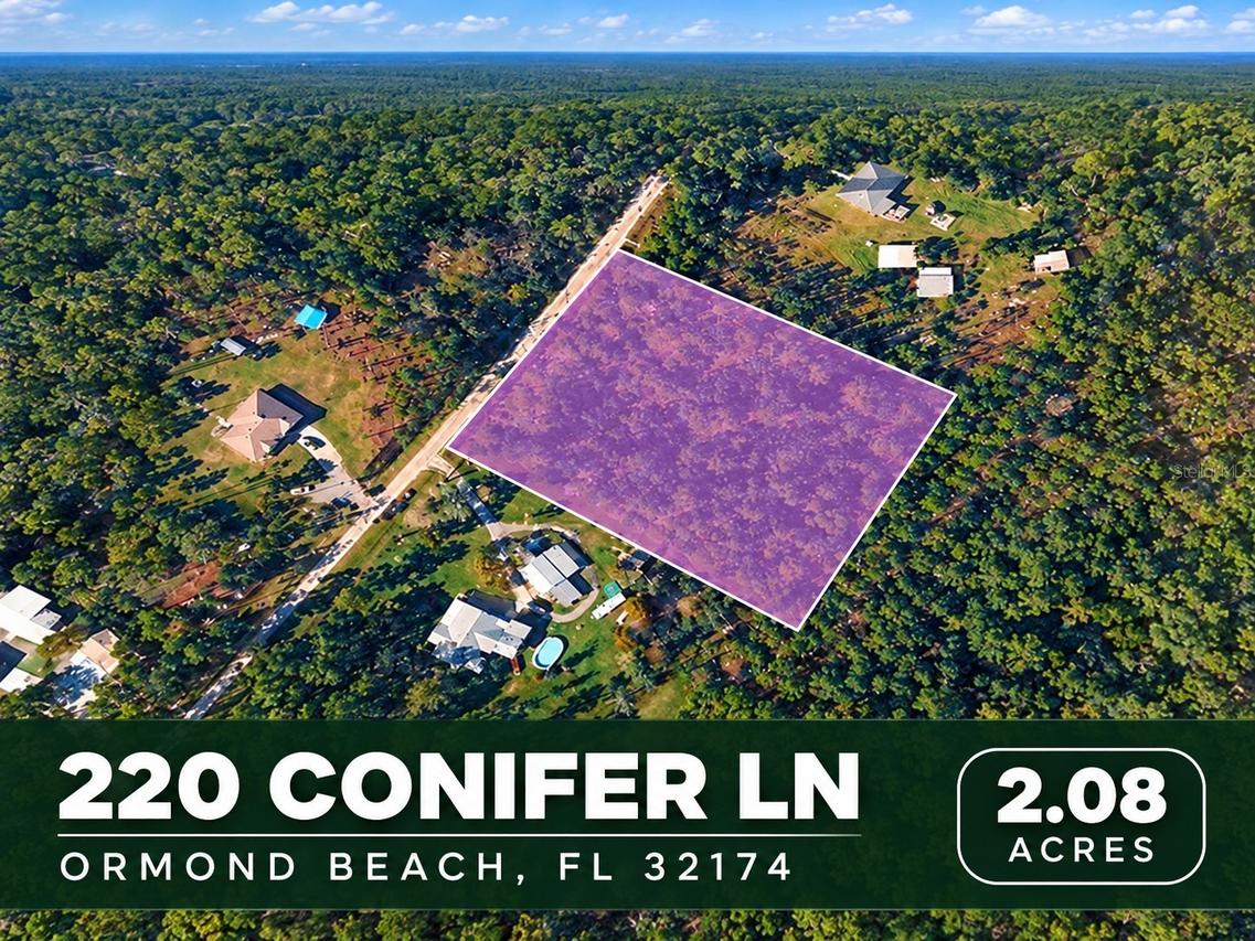 220 Conifer Ln., Ormond Beach, FL 32174