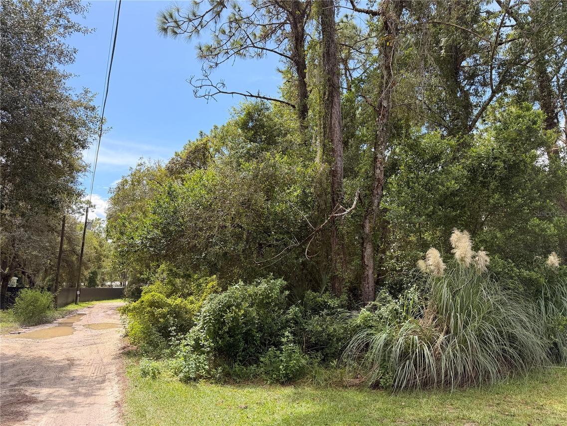 5710 S Leopard Point, Homosassa, FL 34446