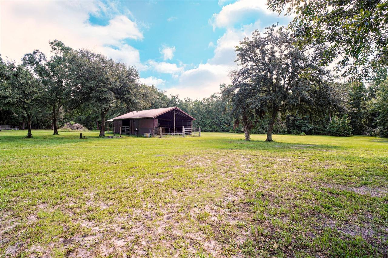Karlotta Ln., Land O Lakes, FL 34639