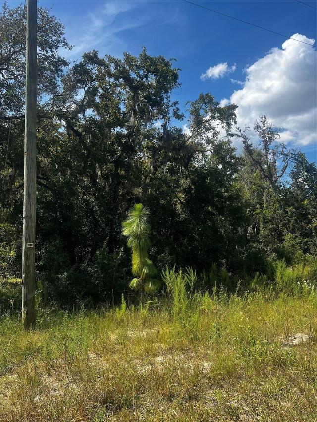 Crider Rd., Weeki Wachee, FL 34614
