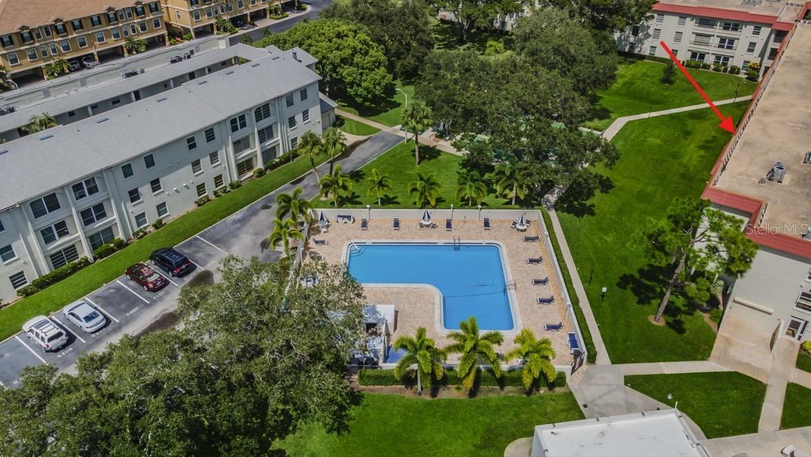 2700 Bayshore Blvd. #2204, Dunedin, FL 34698