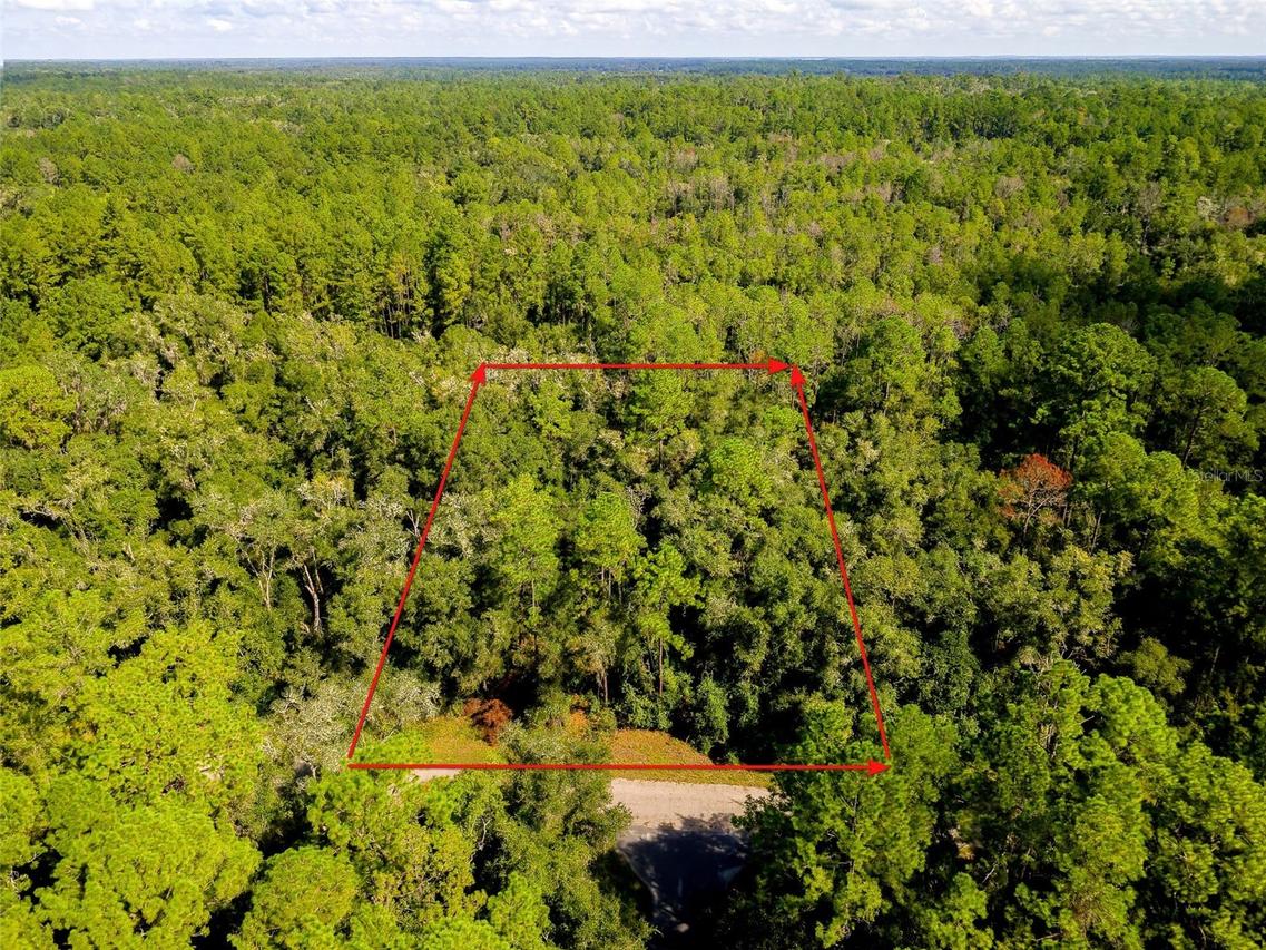 1135 E Odin Dr., Citrus Springs, FL 34434