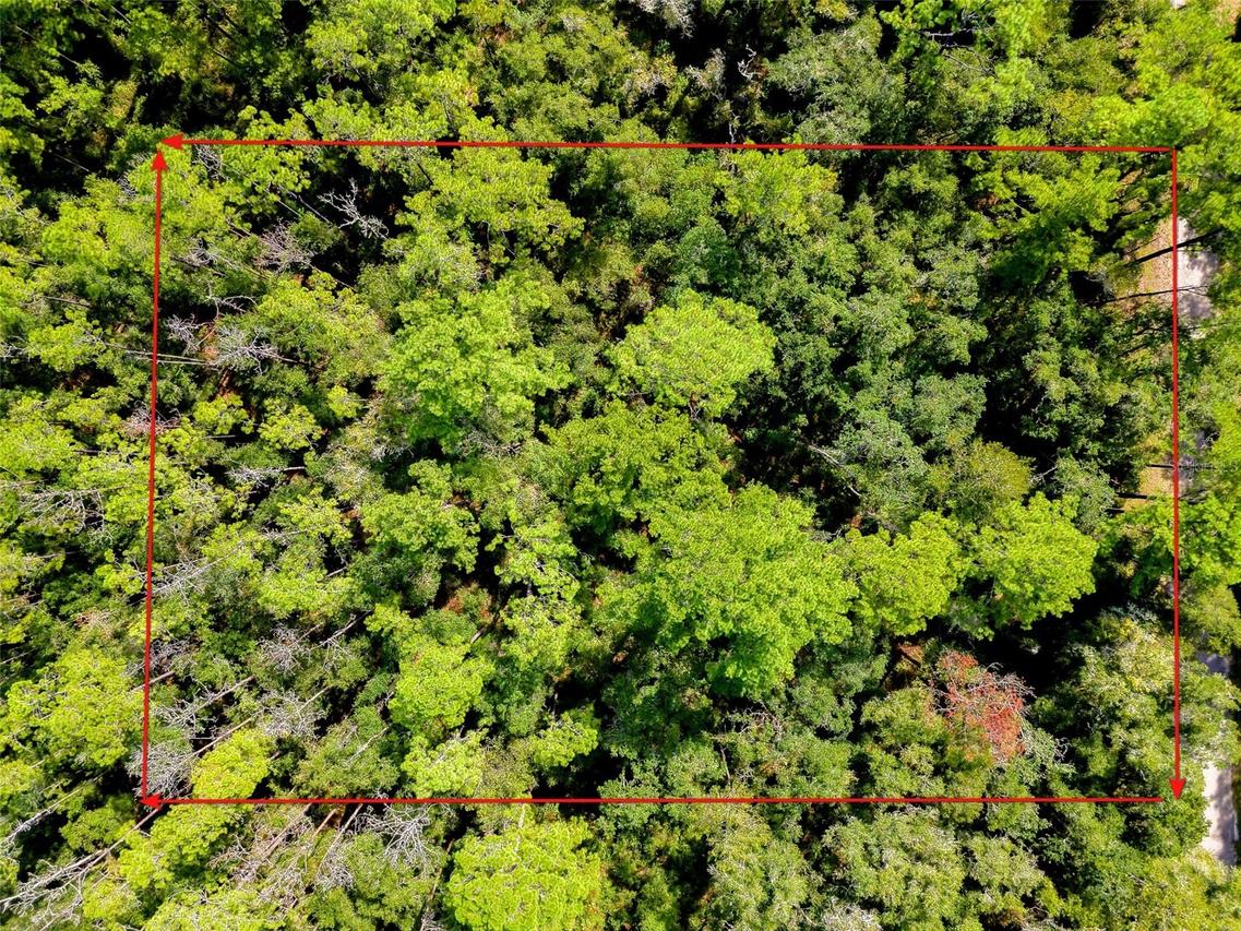 1163 E Odin Dr., Citrus Springs, FL 34434