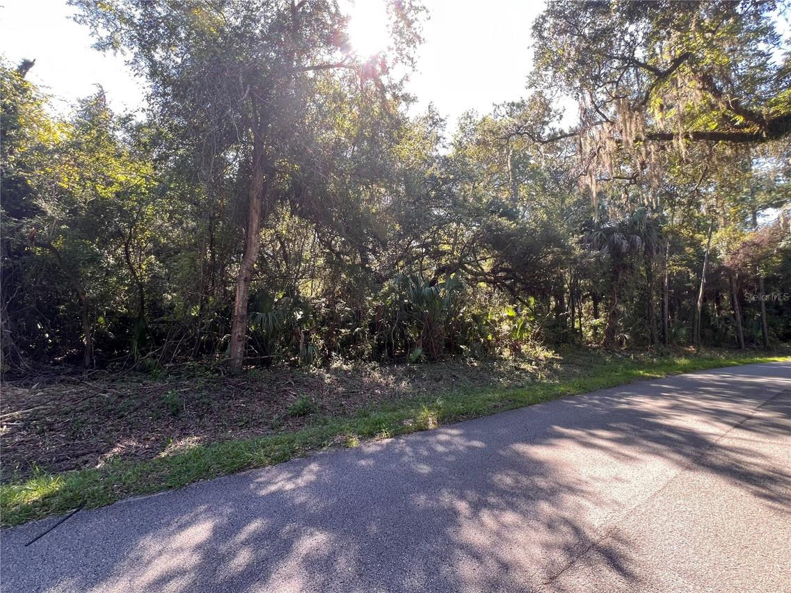 [Address Hidden by Seller], Crystal River, FL 34428