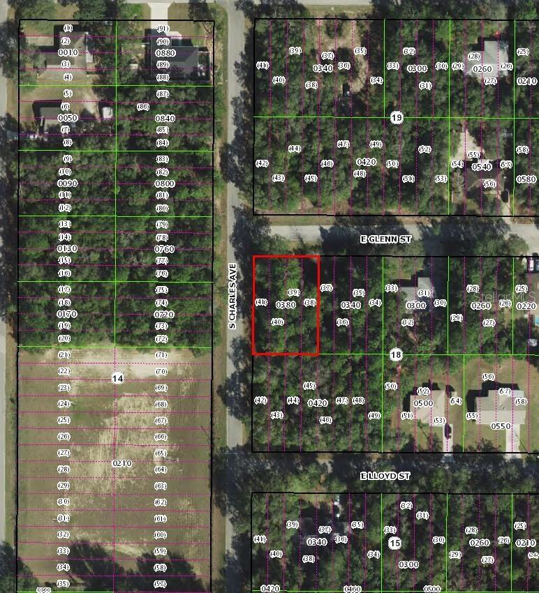 3022 E Glenn St., Inverness, FL 34453