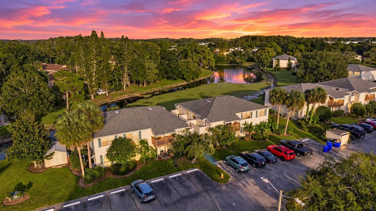 127 Camphor Dr. #E, Oldsmar, FL 34677