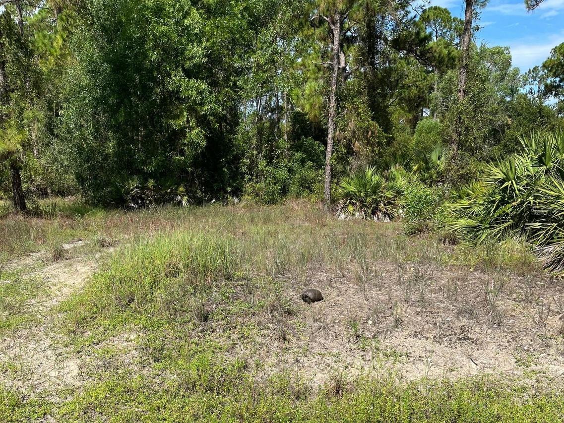 12 Monroe Ave., Lehigh Acres, FL 33936