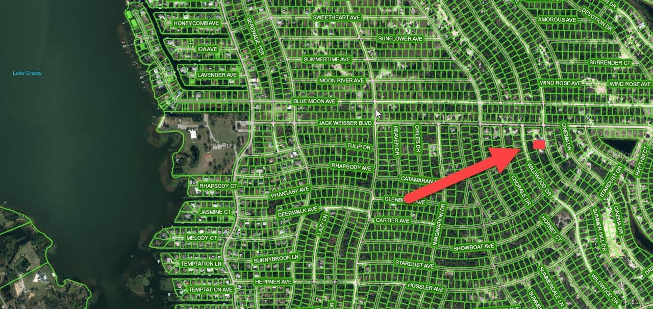 364 Summer Hill Dr., Lake Placid, FL 33852