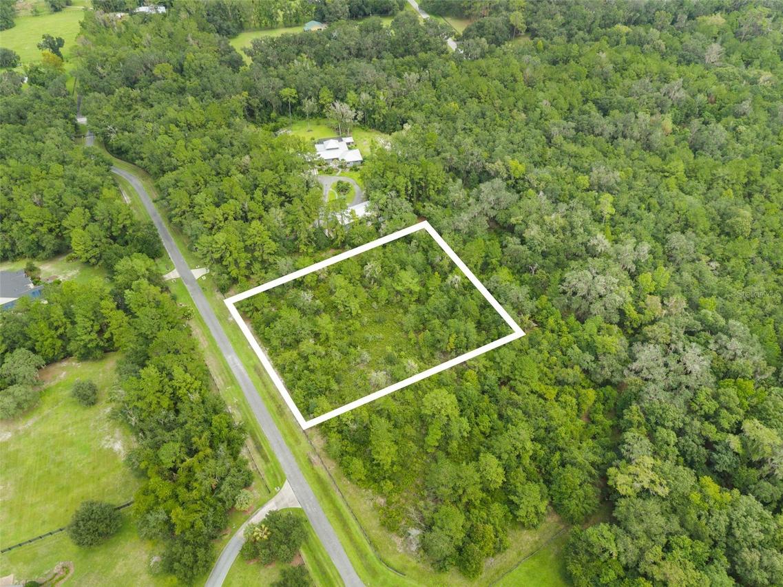 12563 SW 17th Dr., Micanopy, FL 32667