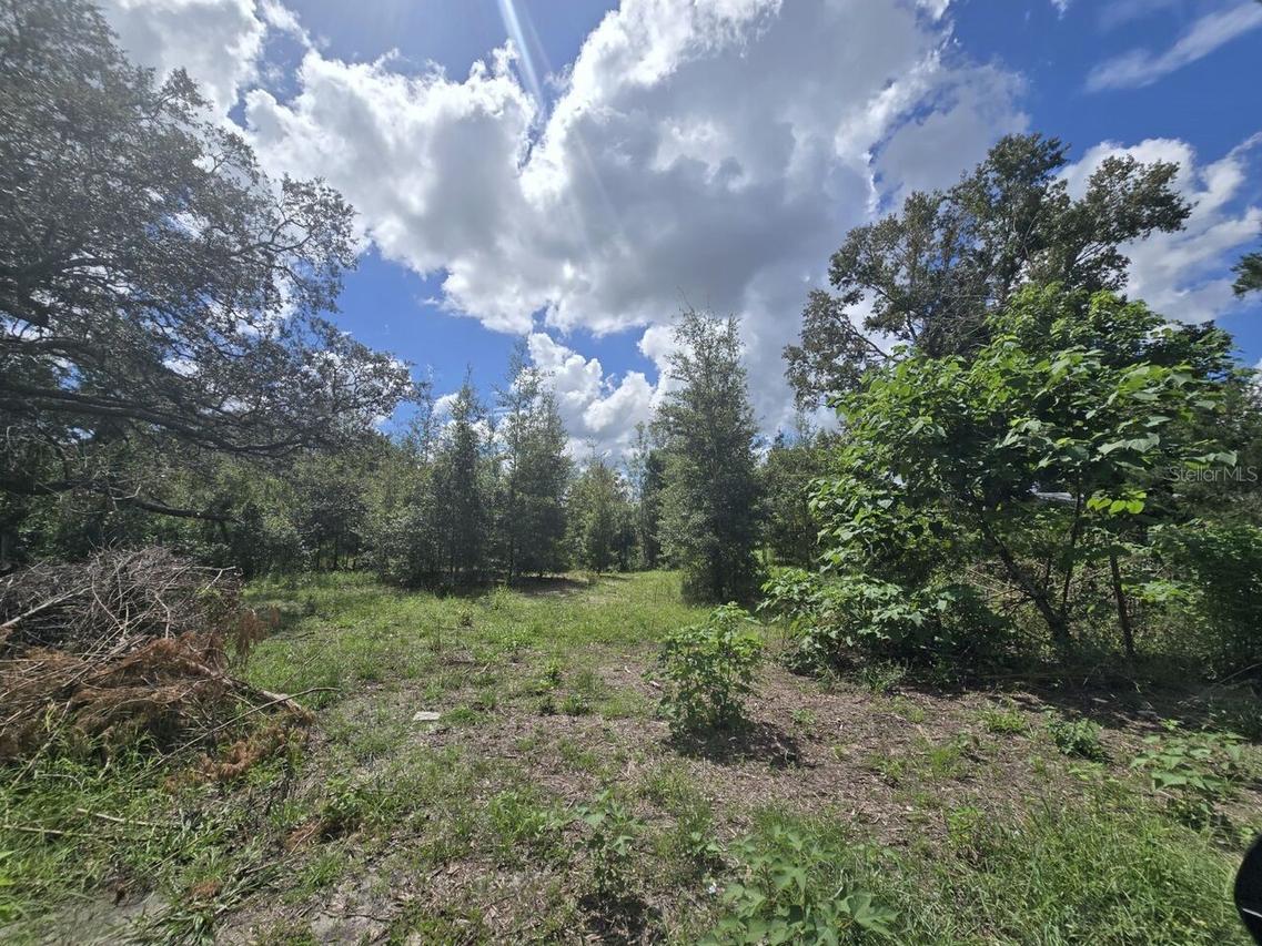St. Paul Dr, Spring Hill, FL 34610