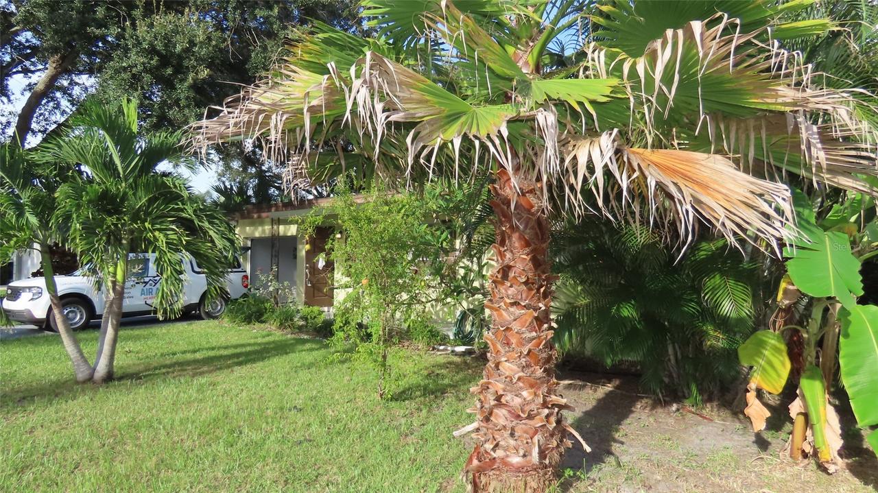 1841 West Dr., Clearwater, FL 33755