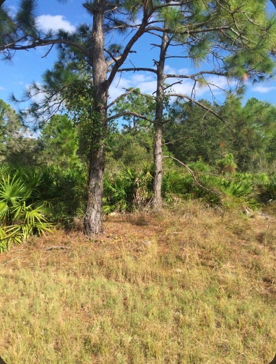 1604 5th Ave., Lehigh Acres, FL 33972