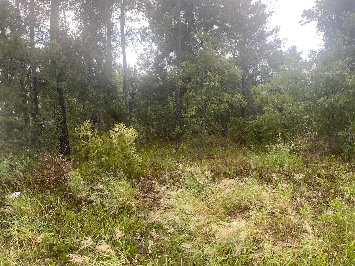 [Address Hidden by Seller], Spring Hill, FL 34609