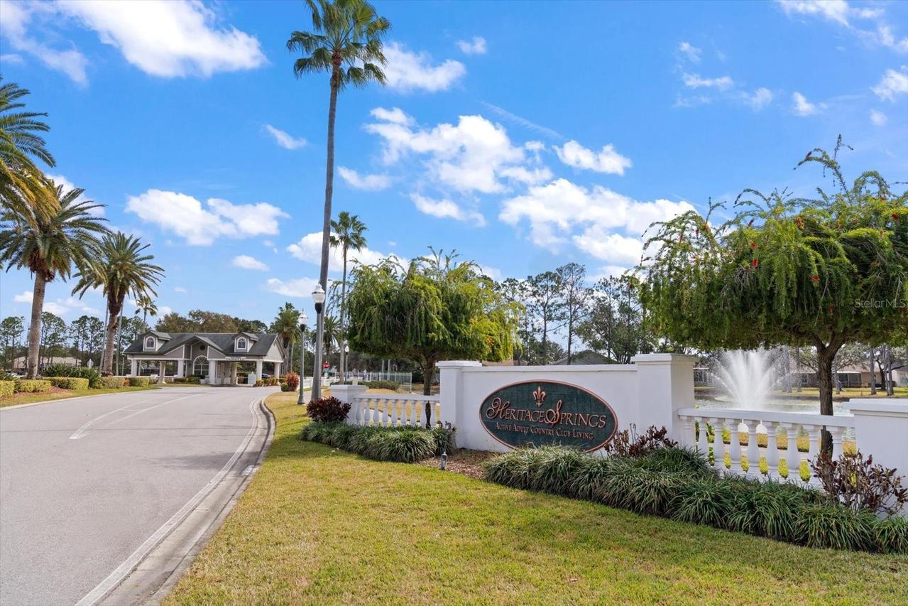 1237 Rambling Vine Ct., Trinity, FL 34655
