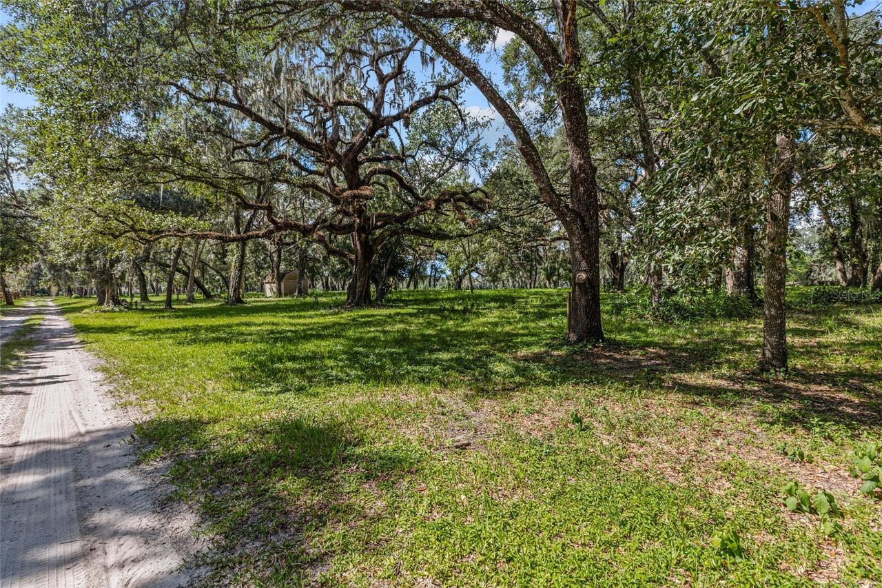 17445 Palmer Ln., Spring Hill, FL 34610