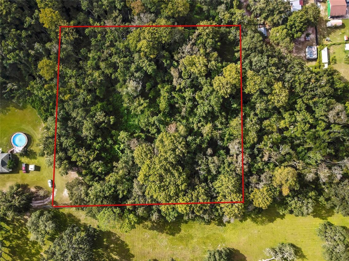 Palmer Ln., Spring Hill, FL 34610