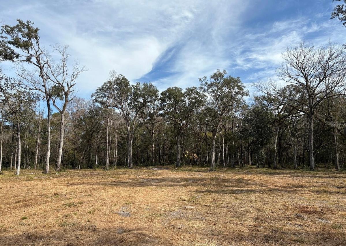 Lake Lindsey Rd., Brooksville, FL 34601